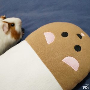 Almofada de Porquinho da Índia Exclusiva