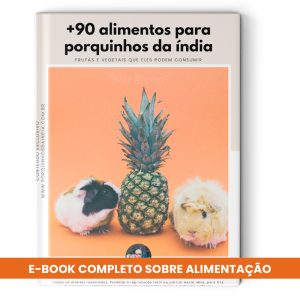 E-book 90+ alimentos para porquinhos da índia