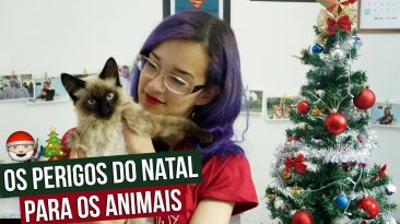 Os perigos do Natal para os animais