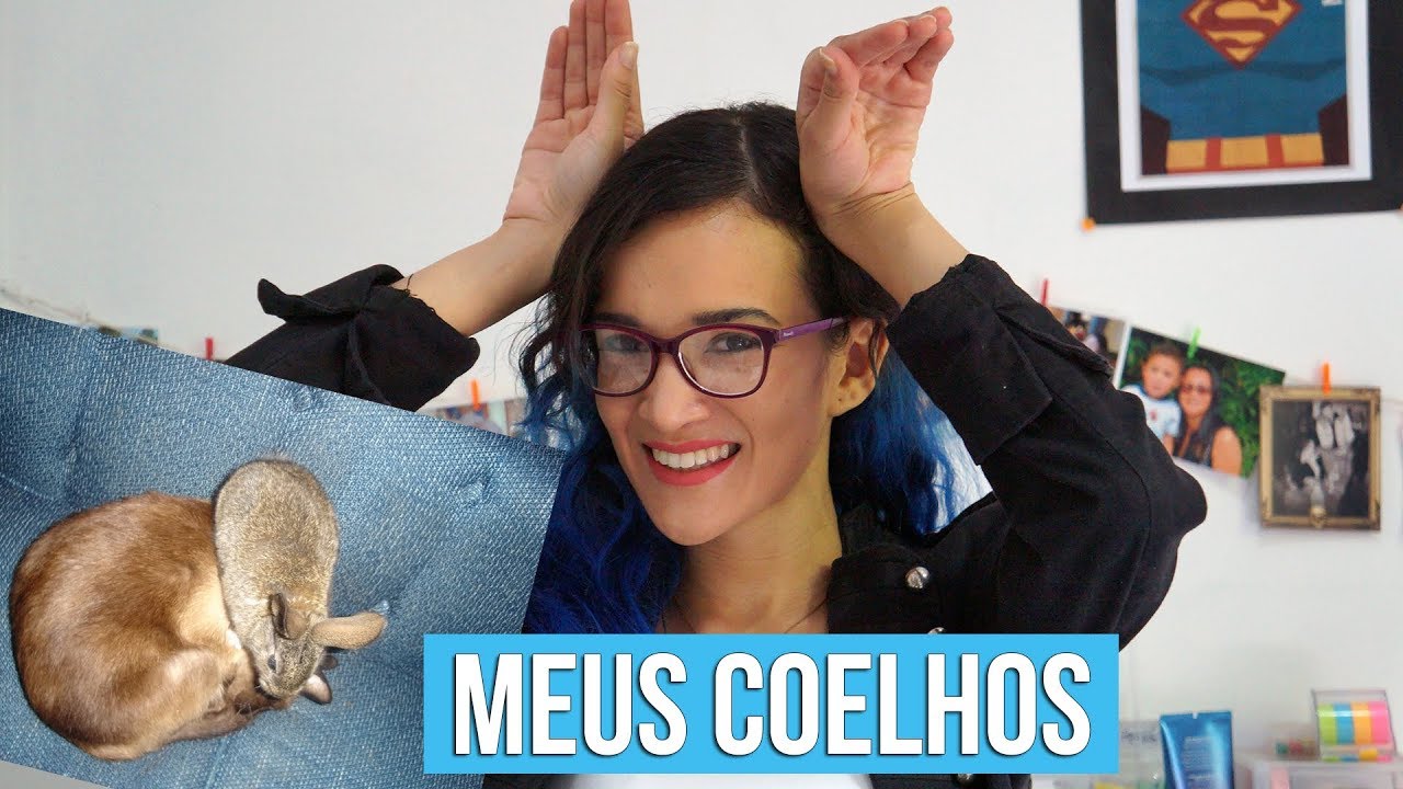 Coelho como animal de estimação